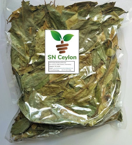 Dried Plant part of Nami Nam ñam-ñam Cynometra cauliflora 250g - Bild 5 von 24