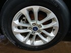 Picture 15 of 15