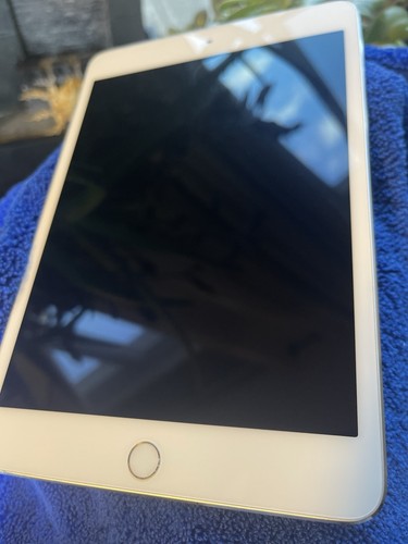 Apple iPad mini 4 (128gb) Wi-Fi (A1538) Silver {iOS15}100% Dopamine JAILBREAK - Picture 3 of 12