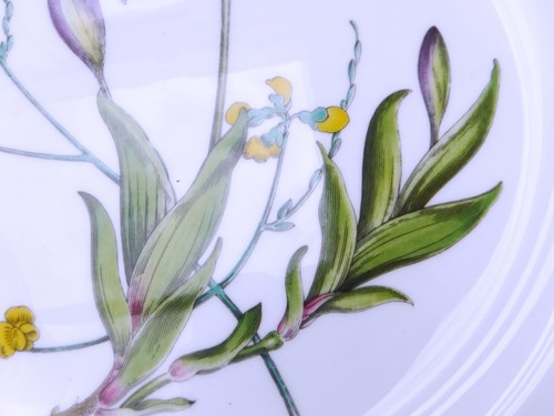 Spode Stafford Flowers Large Dinner Plate # 1 - Picture 3 of 6