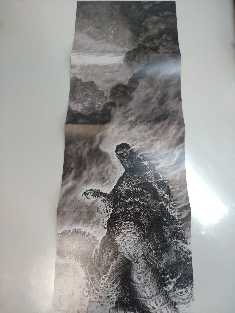Picture 4 of 11