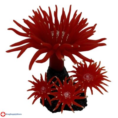RA Duncan Coral - Fire Red