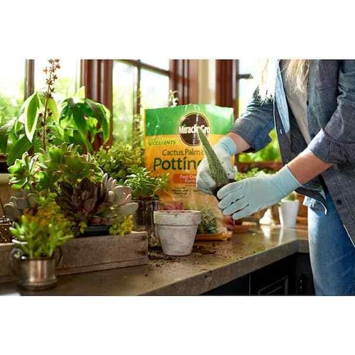 8 Qt. Cactus Palm and Citrus Potting Soil Mix - Picture 5 of 8