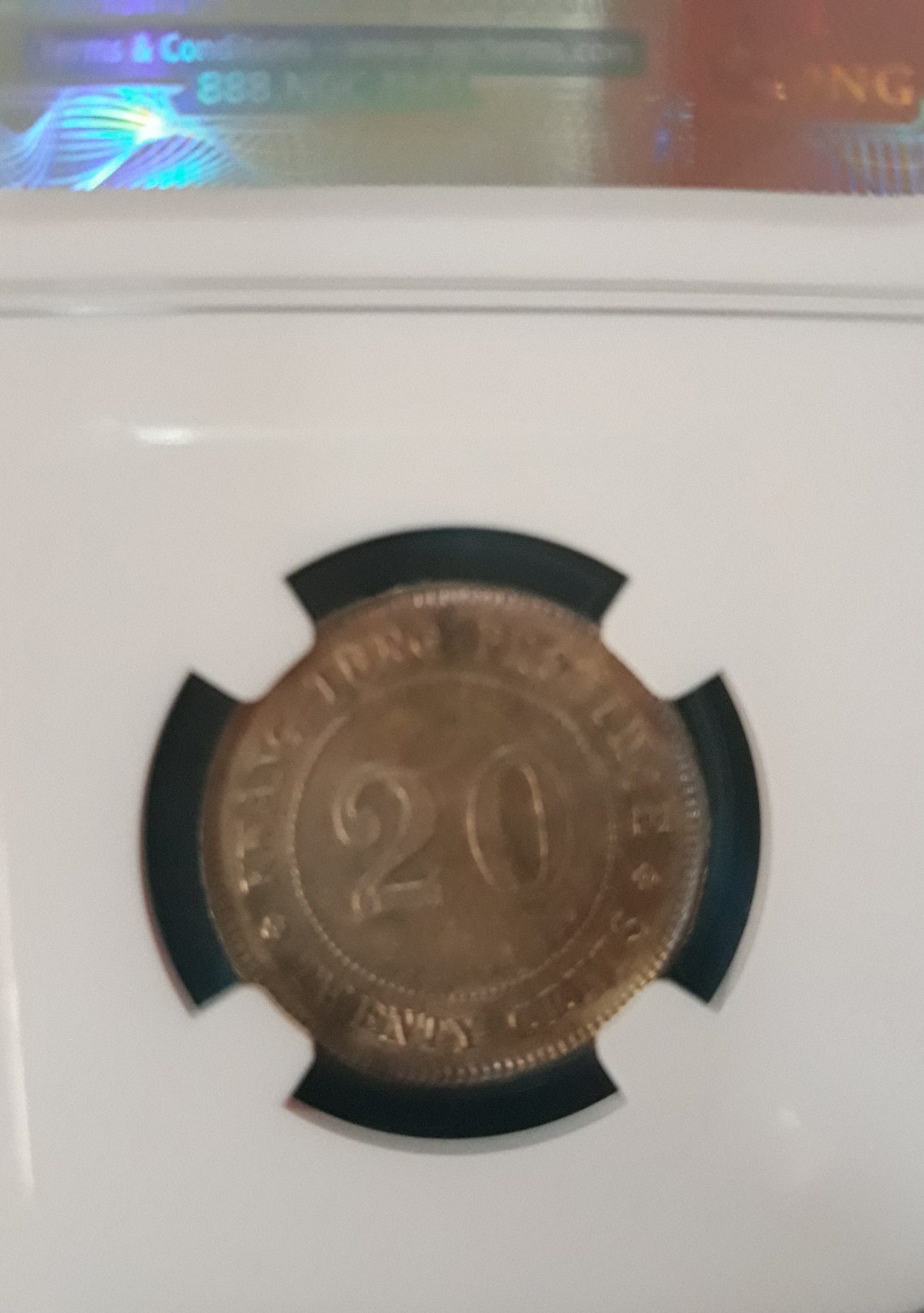 Picture 4 of 4