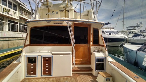 BLACKOUT 15"x5' TINT PROLINE WINDOW FILM COLOR GLASS PRIVACY SOLAR BLOCKING - Bild 4 von 7