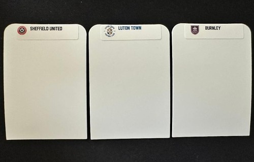 (24) STANDARD Sports Card Dividers with 24 FREE Premier League Teams Labels - Bild 6 von 7