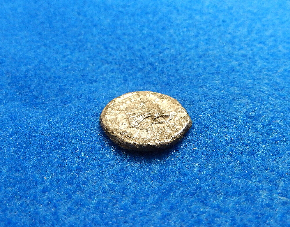 Picture 4 of 5