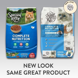 special kitty cat food