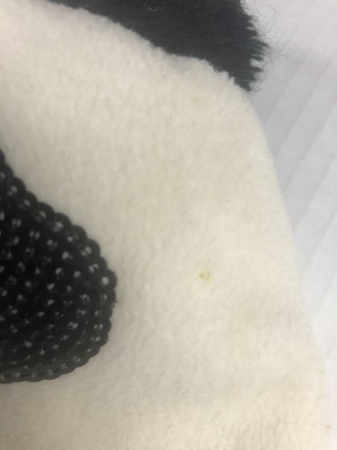 Pierce Kids Panda Winter Beanie Hat Sequin Eyes Size L/XL - Picture 7 of 9