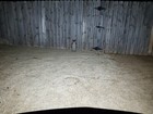 Bild 4 von 8