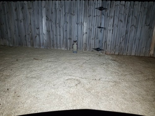 2 Super LED light bulbs for Deere S100 S120 S140 S160 S180 lawn tractor mower - Picture 4 of 8