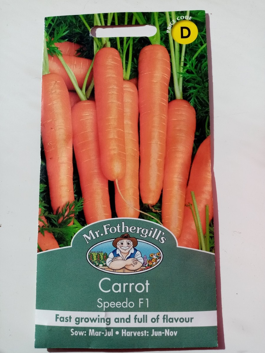 ★87MM★ Mmlg BEACH FAV HFT WILD CARROT Mr Fothergill's CARROT seeds Speedo F1 - 350 Seeds sow