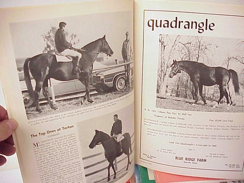 LOT OF 13 VINTAGE THOROUGHBRED RECORD MAGAZINE ISSUES ALL FROM 1969 JAN FEB MAY - Picture 14 of 16