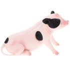 Simulation Pig Model Plastic Pig Model Simulation Animal Educational Model