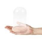  Konservierte Blumenglaskuppel Cloche-kuppel Aus Glaskuppelabdeckung