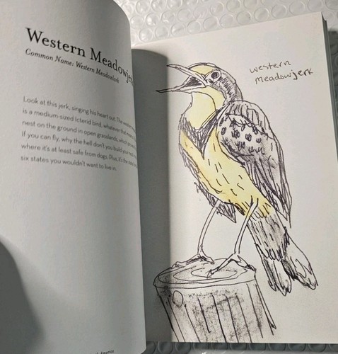 Field Guide to Dumb Birds of America von Matt Kracht (2019, Trade Paperback) - Bild 4 von 4
