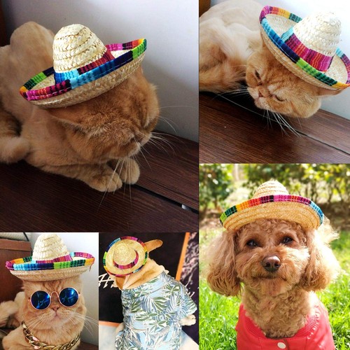 8 Pieces Mini Sombrero Party Hats Fiesta Party Decorations Party Supplies Som... - Picture 3 of 8