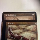 Picture 5 of 5