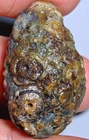 100% Natural Mongolia Gobi Agate Eyes Agate/stone Collection Specimen