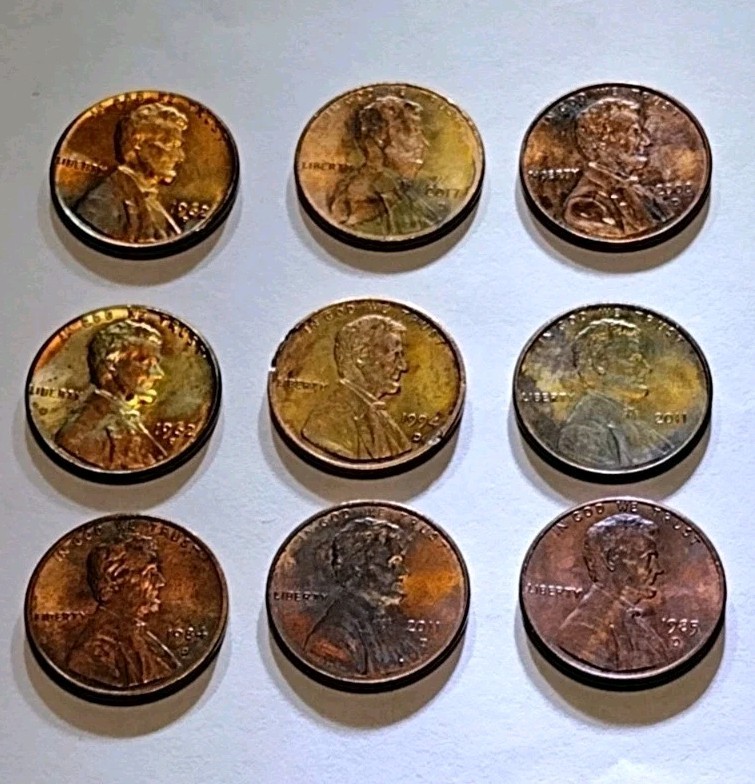 Picture 5 of 6