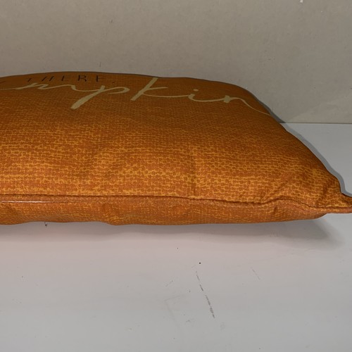 Outdoor Fall/ Halloween Patio Lumbar Throw Pillow 16" x 12", Used With Defect - Picture 10 of 12