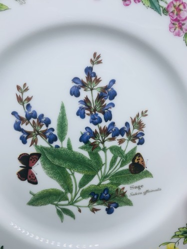 Royal Worcester Fine China WORCESTER HERBS Salad Plates - Set of Four EUC 8.5”