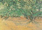 New Vincent Van Gogh Olive Trees Wall Art Poster OR Canvas Size A4-A1