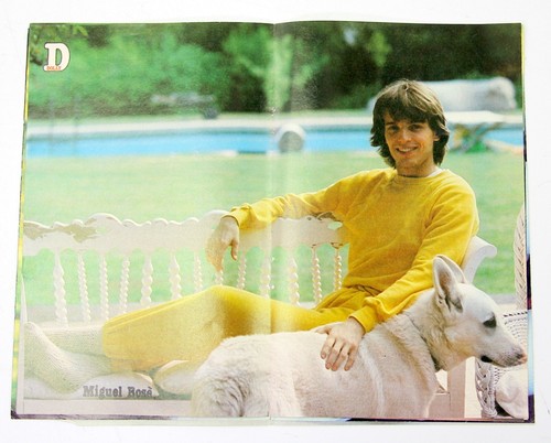 Dolly Revista Miguel Bosè Insertos Especiales 5 Póster Vintage Colección Años 80 - Imagen 16 de 24