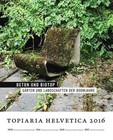 Topiaria helvetica 2016: Beton und Biotop (2015, Taschenbuch)