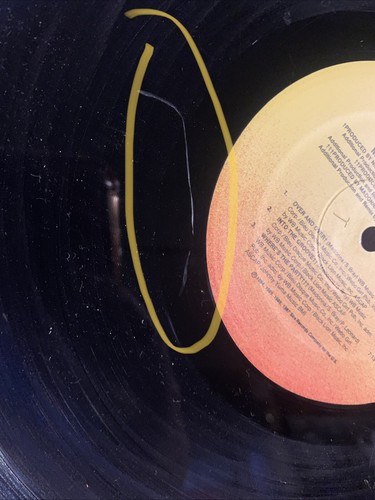 Madonna - You Can Dance (1987) 12” Vinyl LP Read - Afbeelding 10 van 10