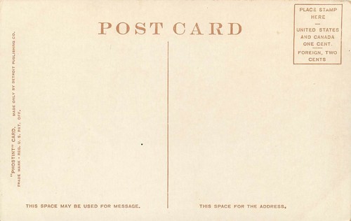 Postal Palms Geraniums California Phostint Detroit publicación sin estampar - Imagen 2 de 2