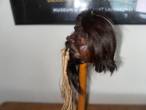 CABEZA ENCOGIDA JIVARO PELO CORTO -TSANTSA - Imagen 3 de 6