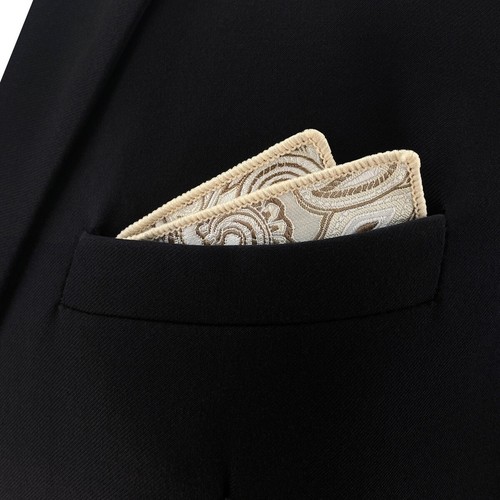 S&W SHLAX&WING Mens Pocket Square Paisley Wedding Party Woven Elegant											 - Picture 6 of 349