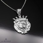 Sterling Silver  Lion King DC Charm Necklace
