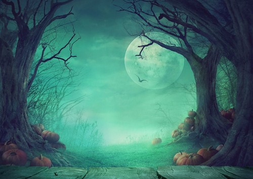 A1 | Spooky Halloween Forest Poster Art Print 60 x 90cm 180gsm Wall Decor #14268
