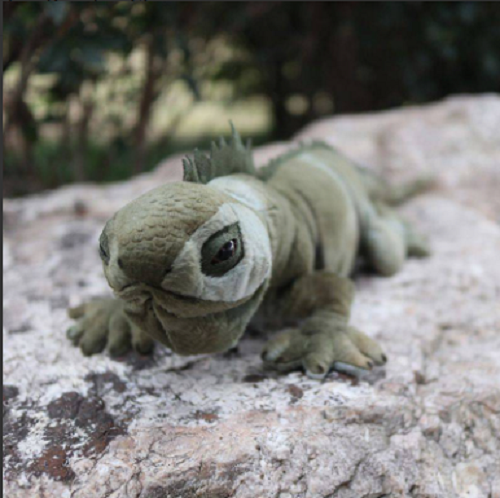 " / 66cm Chameleon Lizard Soft Plush Toy Stuffed Wild Animal Doll Kids Gift | eBay " / 66cm Chameleon Lizard Soft Plush Toy Stuffed Wild Animal Doll Kids Gift | eBay
