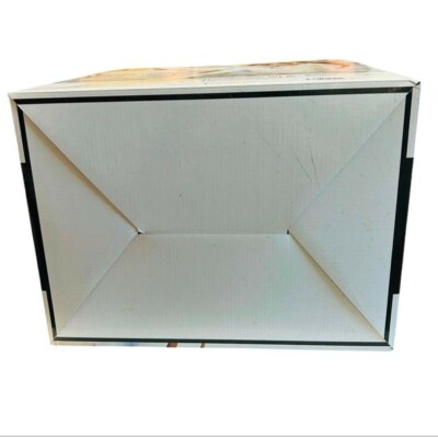 IS Infinite Stratos 2 Huang Lingyin Cat Ver. 1/4 scale figure NEW