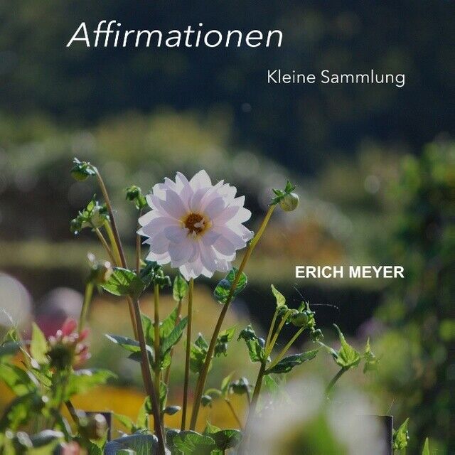 Erich Meyer / Affirmationen - Kleine Sammlung9783749457144
