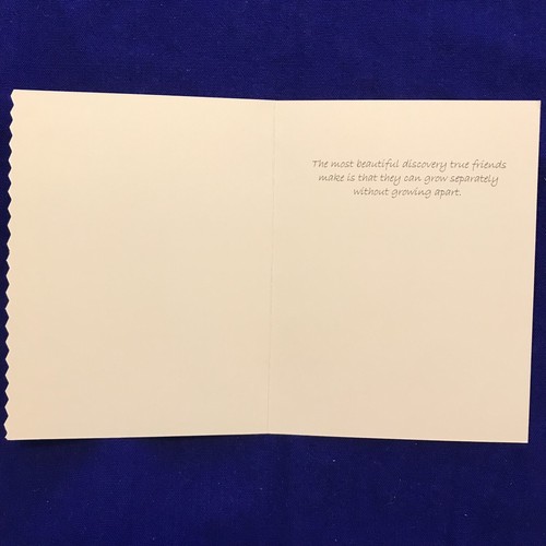 A Common Thread Greeting Card-Friendship "The most beautiful discovery tru"(A42) - Picture 3 of 4