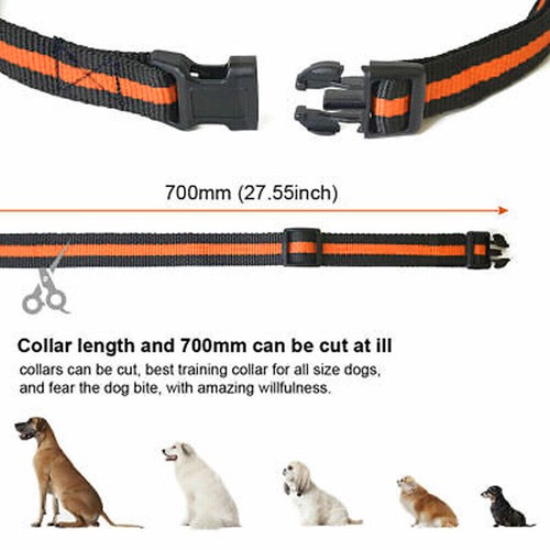 AU Anti-Bark Electric Shock Dog Pet Training E-Collar Obedience Remote Control - Picture 13 of 32