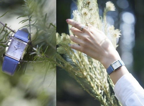 CITIZEN EW5590-62A Eco Drive carga 6 meses,5 bar.*Express Delivery 1/2 Days* - Foto 4 di 5