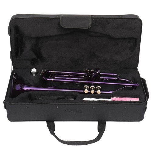Beginner Purple Brass Bb Trumpet w/Case GlovesMouth of Trumpet for Student Band - Picture 8 of 10