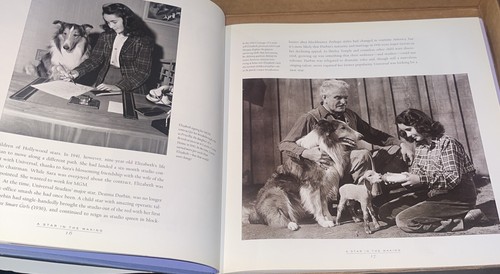 Liz : The Pictorial Biography of Elizabeth Taylor by Larissa Branin (2000, HC) - Bild 10 von 19