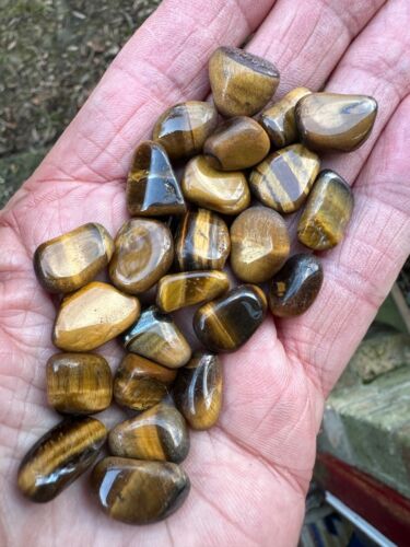 25 x GOLDEN TIGERS EYE POLISHED CRYSTAL SMALL TUMBLE STONES 10mm - 12mm +ID CARD