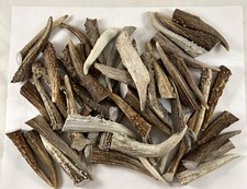 50 -  4" DEER  ELK GNARLY ANTLER TINE TIPS ARTS, CRAFTS TOGGLES - Bag 1799