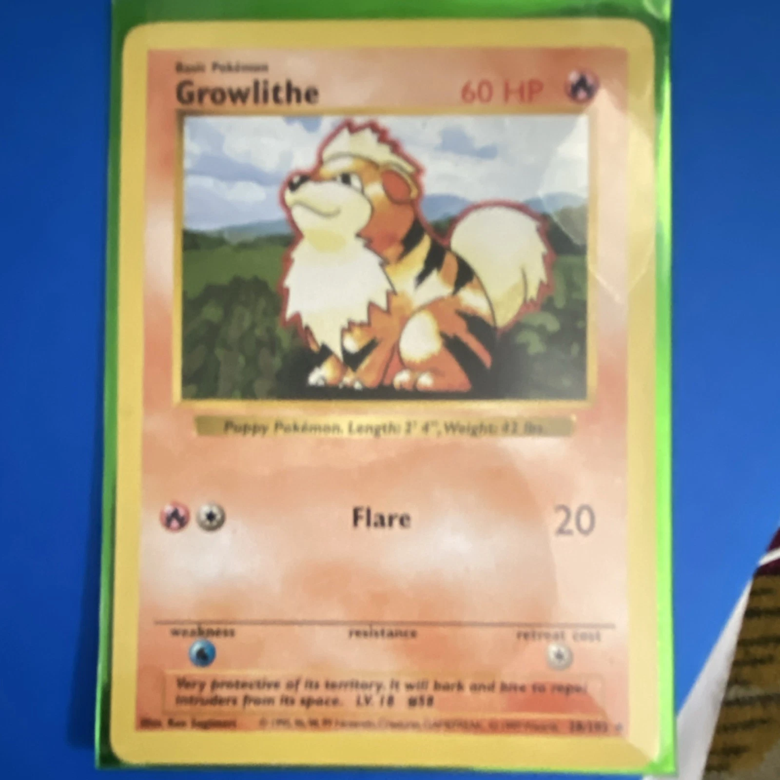 Base Set Shadowless Growlithe (Pokémon TCG)