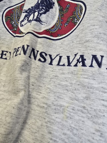 Camiseta De Colección Años 90 Hershey Park L Pennsylvania - Imagen 7 de 16