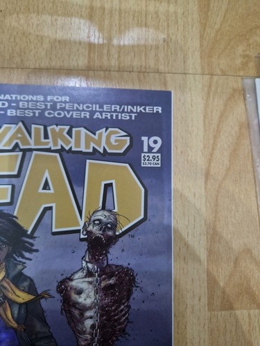 The Walking Dead #19 First Print Robert Kirkman 1st michonne never read nm - Bild 6 von 8