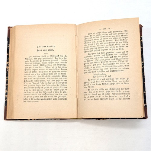 1880s Antique German Book Irrfahrt und Heimfahrt by Otto Brennekam - Bild 6 von 6