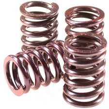 Barnett Clutch Spring Kit 501-45-04050